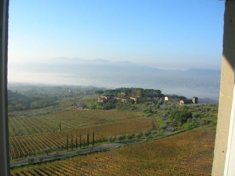 view from the bedroom window