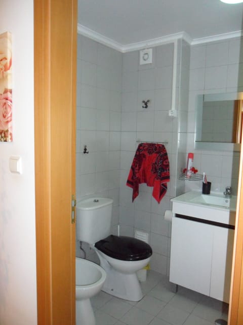 Combined shower/tub, hair dryer, bidet, towels