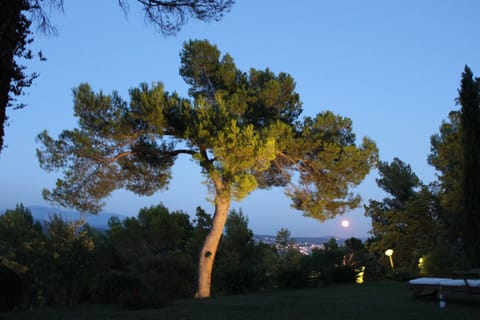 Moonrise in the Evening