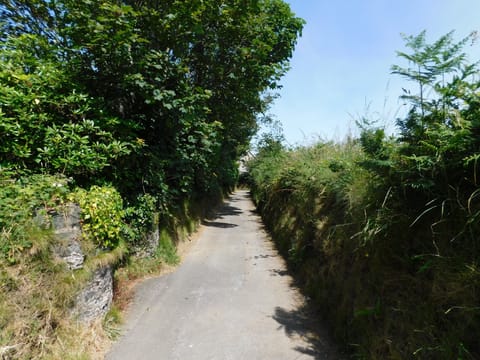 view down lane as it narrows