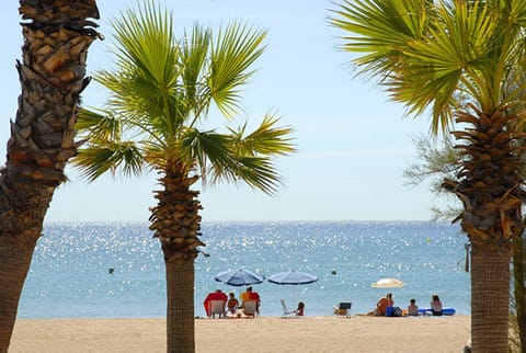 Beach nearby, sun loungers