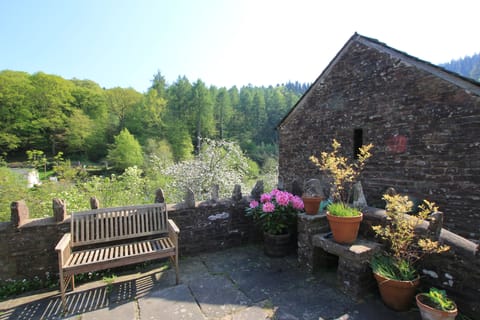 Views over the orchard