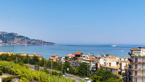 Beach/ocean view