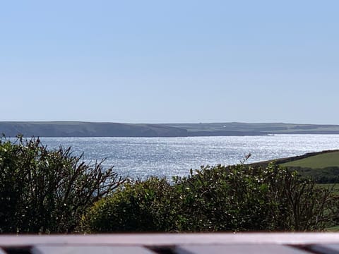 View from patio table