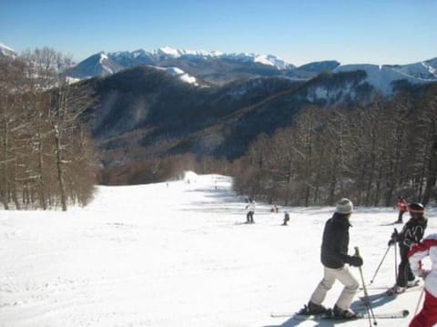 Snow and ski sports