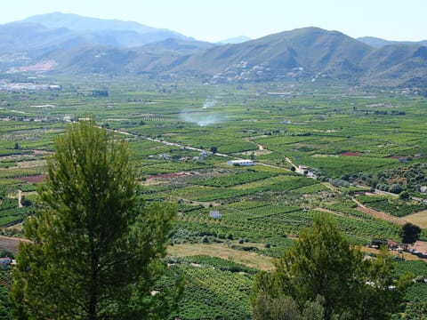 Mountainous Landforms, Highland, Mountain, Hill Station, Vegetation, Wilderness, Hill, Mountain Range, Nature Reserve, Tree