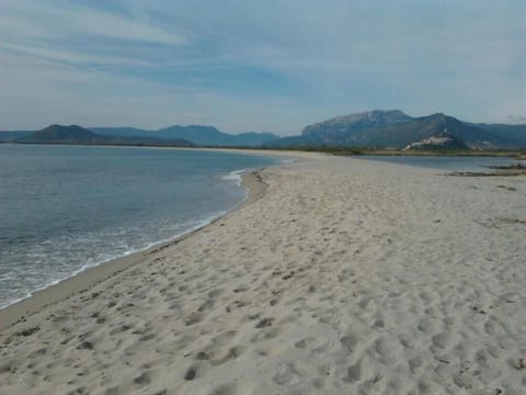 Beach nearby, sun loungers