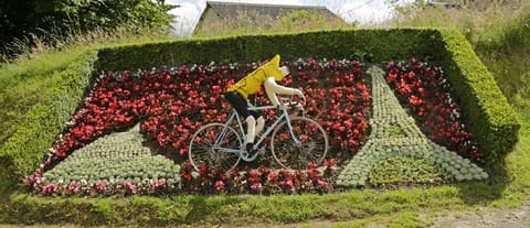 Tour de France .... not far away every year!!
