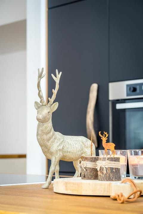 Villa Wanderlust, Mestermann House in Salzburgerland