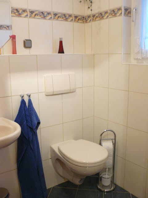 Combined shower/tub, hair dryer, towels, soap