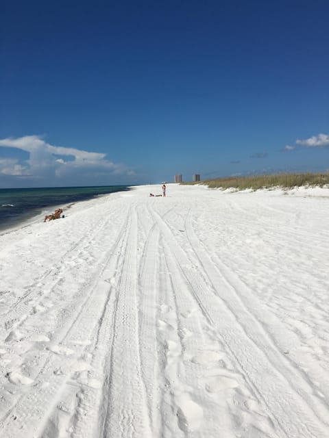 Sun loungers, beach towels