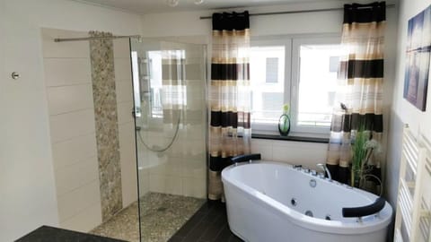 Combined shower/tub, hair dryer, bidet, towels