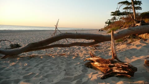 Beach nearby, sun loungers