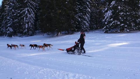 Snow and ski sports