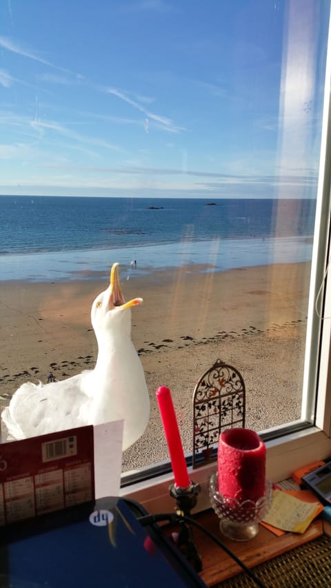 Beach nearby, sun loungers, beach towels