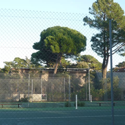 Sport court