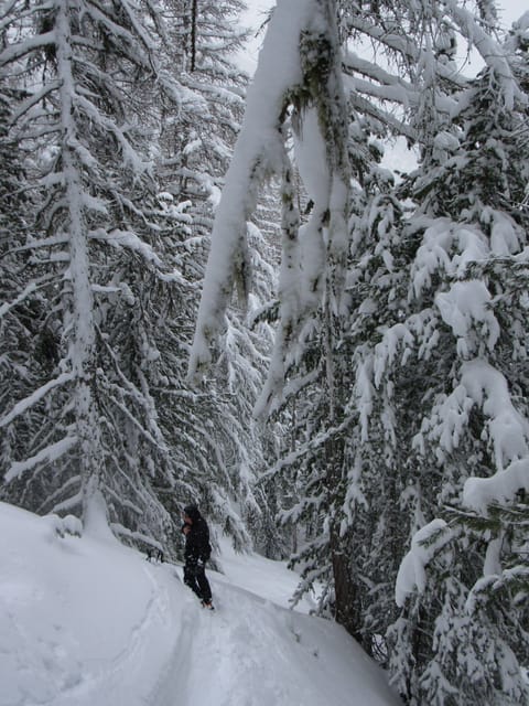 Snow and ski sports