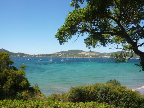 Beach nearby, sun loungers