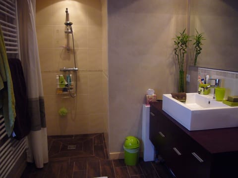 Combined shower/tub, hair dryer, towels, soap