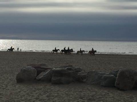 On the beach