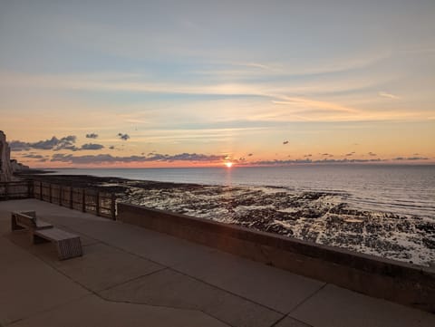 Beach/ocean view