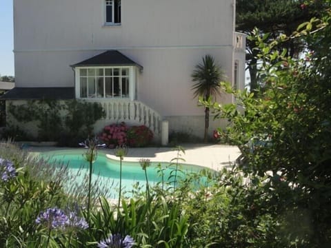 agapanthus during all summer...