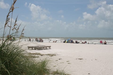 On the beach