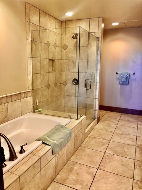 Separate tub and shower, hair dryer, towels, toilet paper