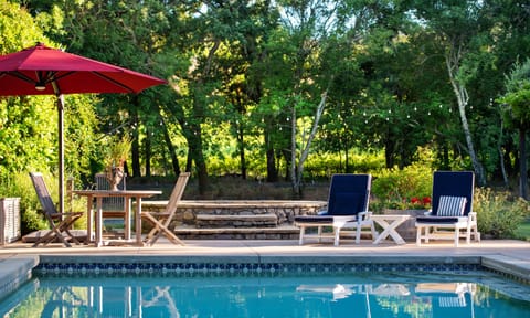 Exquisite, serene & private setting - vineyard beyond pool and custom stone spa