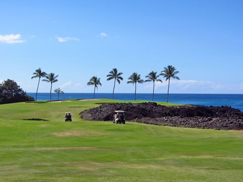 View from lanai and backyard space.