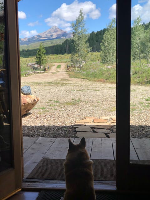 Another good view of the alone Cone from feint of Lodge!