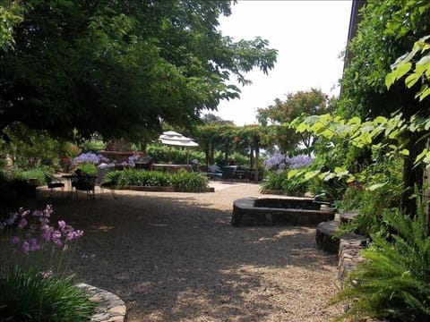 One section of backyard from deck, left to cooking area and vineyard