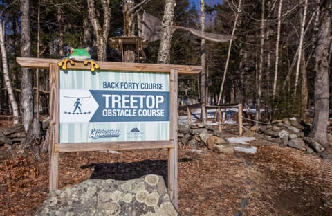 The Treetop Obstacle Course is just another element to try out