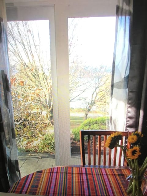 View from table in eating area