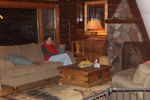 Fireplace, books