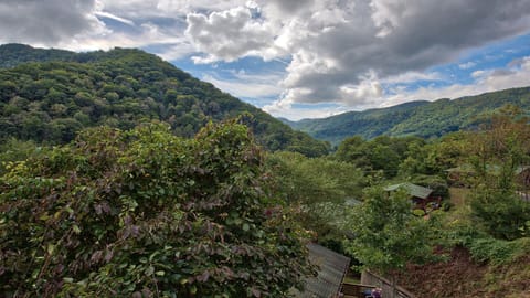 Amazing view. Enjoy!