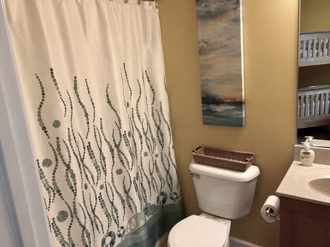 Combined shower/tub, hair dryer