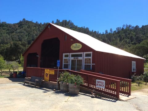 Our Farm Stand features our award winning olive oil, gourmet mustards and more.