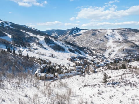 meadows0432_52589755661_o