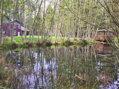House, gazebo/covered deck and pond - so peaceful and serene!