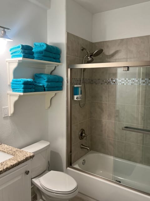 Combined shower/tub, hair dryer, towels, shampoo