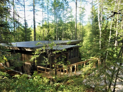 Cabin sits nestled into the cedar forest overlooking the creek below