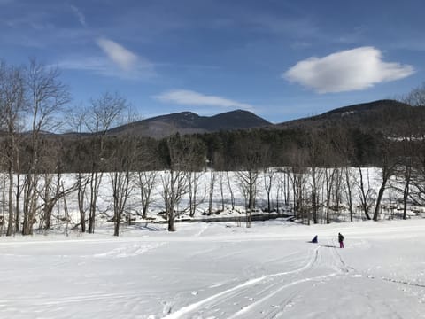 Snow and ski sports