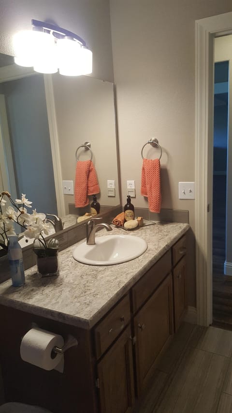 Hair dryer, heated floors, towels, soap