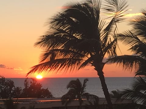 Beach/ocean view