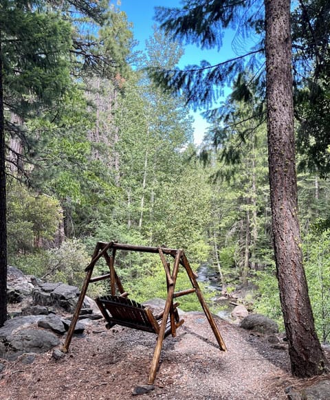 Swing and picnic table overlooking Frazier Creek.