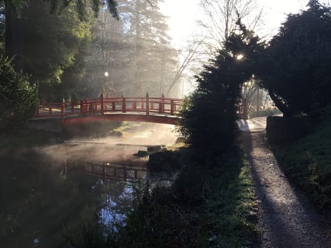 Mingus Park in the morning.