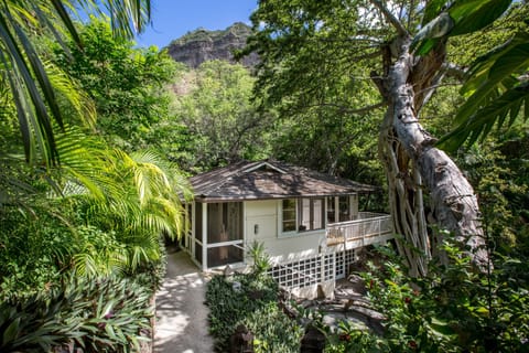 40 steps with 6" raisers down to house hidden in a secluded base of Diamond Head