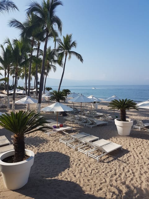 On the beach, sun loungers, beach towels