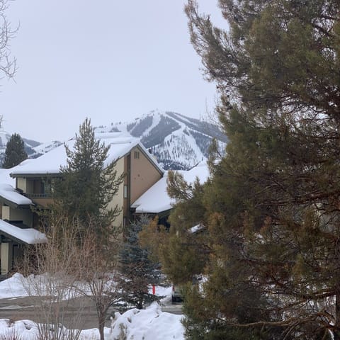View of Baldy Mountain from Balcony for 2nd & 3rd Bedrooms.
